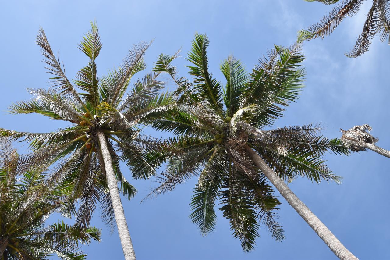 Magic Resort Lamai Beach  Eksteriør bilde